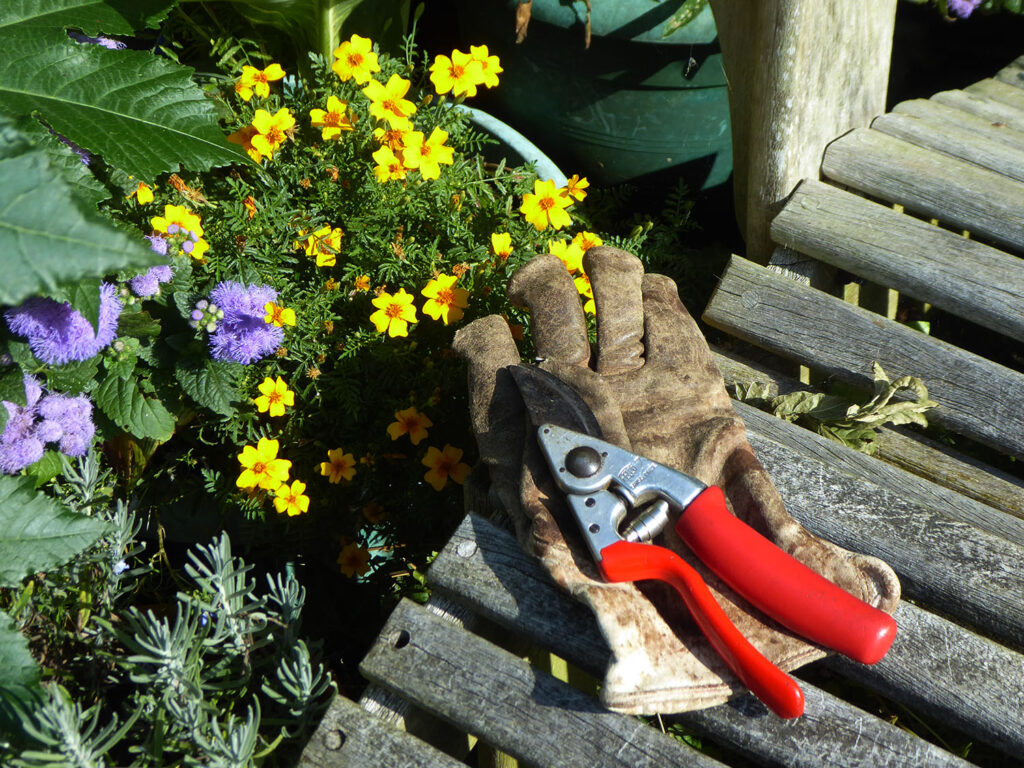 Gardening Gloves &amp; Cutters