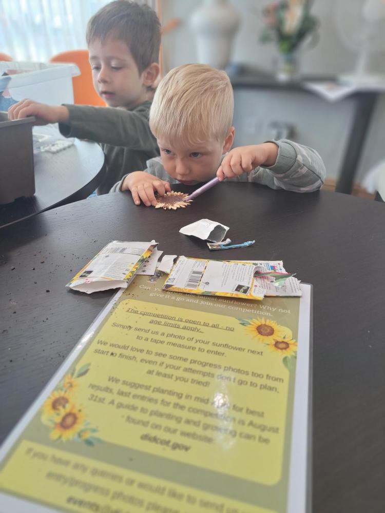 colouring sunflowers
