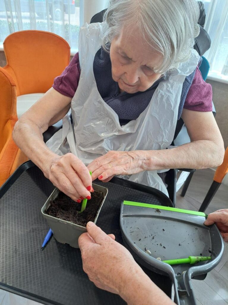 resident planting sunflowers