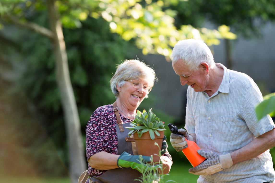 Senior couple potting plants in garden in spring time