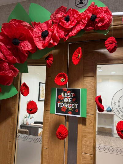 Handmade Remembrance Day display at Valerian Court Care Home, featuring tissue paper poppies, knitted freefalling poppies, and painted tributes including soldiers and planes.