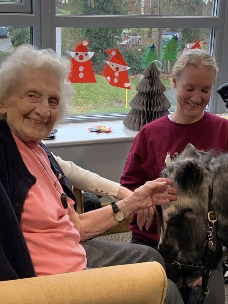 resident interacting with therapy ponies