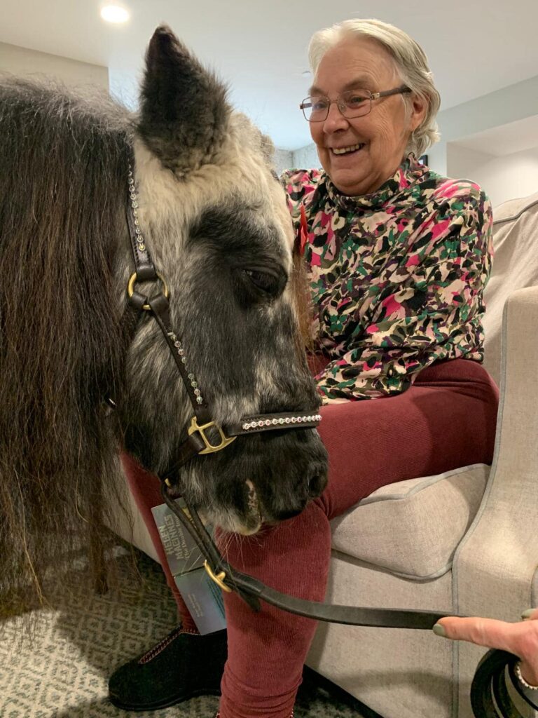 resident sitting with therapy ponies