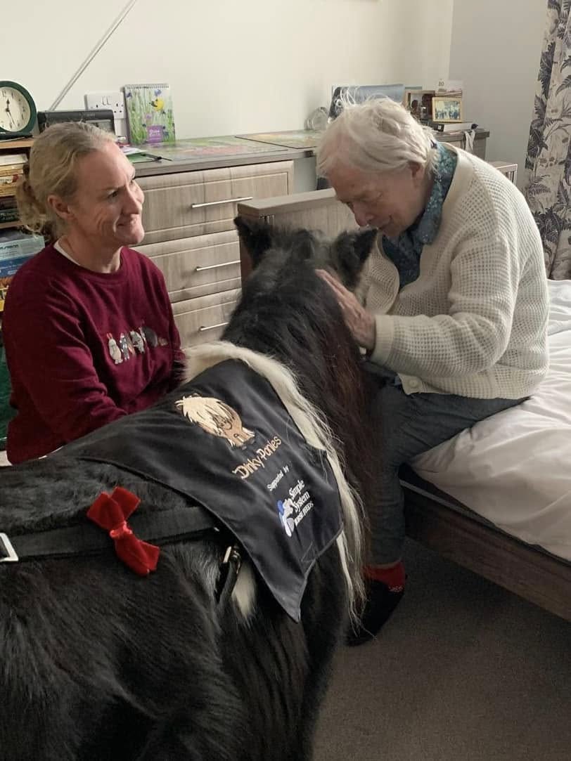 residents interacting with therapy ponies