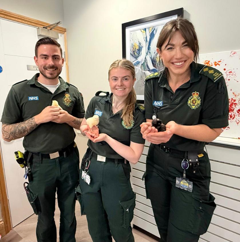 nhs staff holding chicks